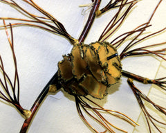 Copper Art Pine bough large 18"