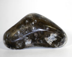 Petoskey Stone Polishing Kit