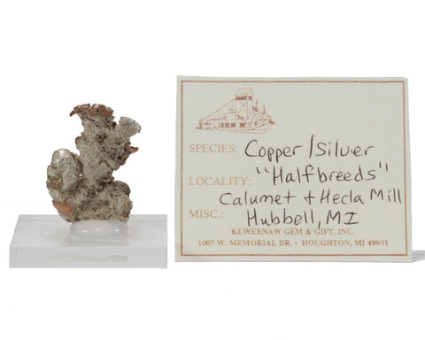 Copper Silver Halfbreed  3203