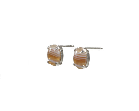 Lake Superior Agate Earrings 9x7mm  3537