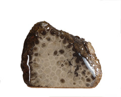 Petoskey Stone Decorator 5361
