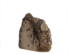 Petoskey Stone Decorator 5361
