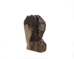 Petoskey Stone Decorator 5352