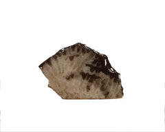 Petoskey Stone Decorator 5354