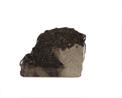 Petoskey Stone Decorator   5346