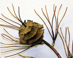 Copper Art Pine bough large 18"