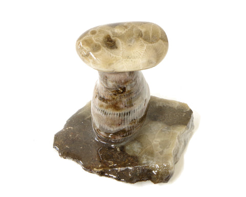 Petoskey Stone Mushroom Single Medium   #1125-01