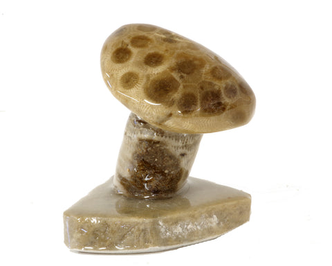 Petoskey Stone Mushroom Single small  1010.1
