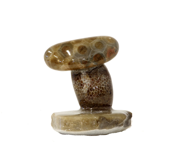 Petoskey Stone Mushroom Single small  1010.2