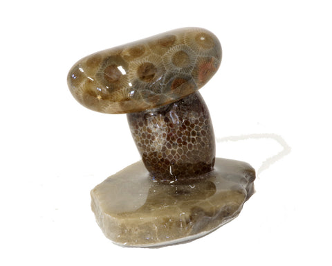 Petoskey Stone Mushroom Single small  1010.2