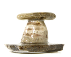 Petoskey Stone Mushroom Single small  1125-1